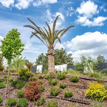 Apartament Palmowe Wzgórze - Górny