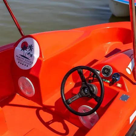 Apartament Palmowe Wzgórze - Górny *