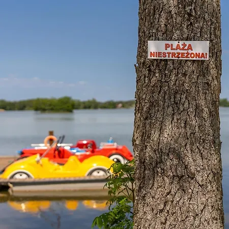 Palmowe Wzgorze - Gorny
