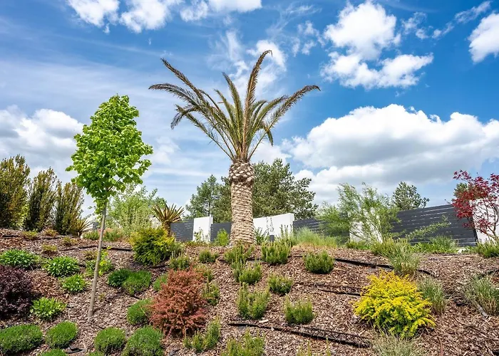 Lägenhet Palmowe Wzgorze - Gorny