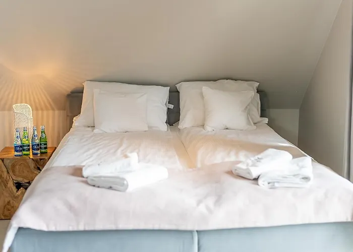 Palmowe Wzgorze - Gorny Skoszewo