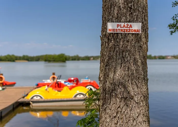 Palmowe Wzgorze - Gorny